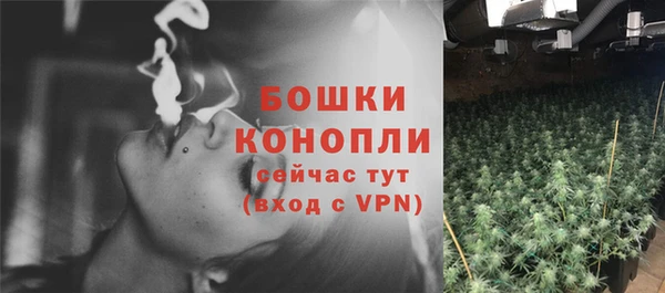 прущие крисы Богородицк