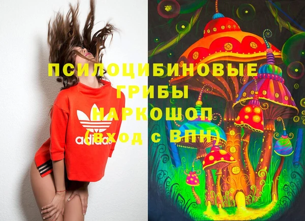 прущий лед Богородск