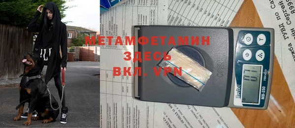 прущие грибы Покачи