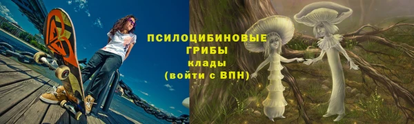 прущий лед Богородск