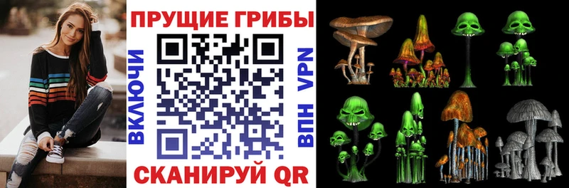 Галлюциногенные грибы прущие грибы KRAKEN сайт Мостовской где купить